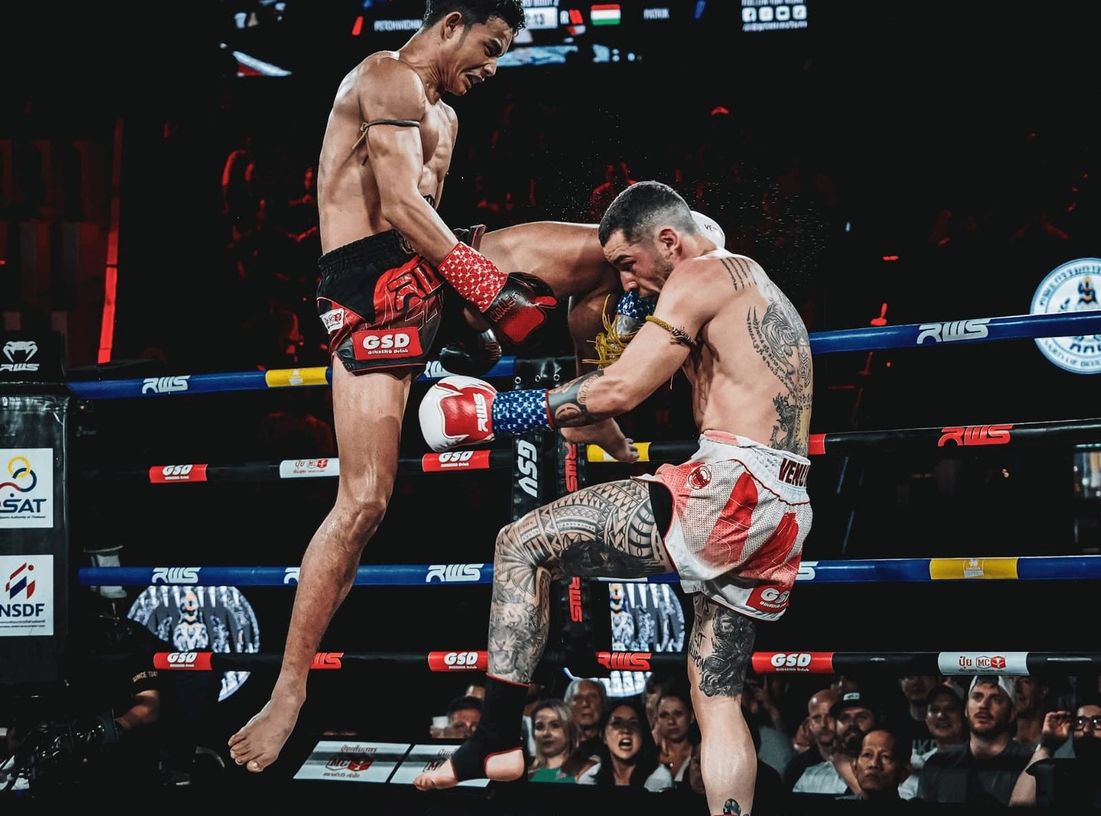 Muay Thai training at Spartan Strength MMA